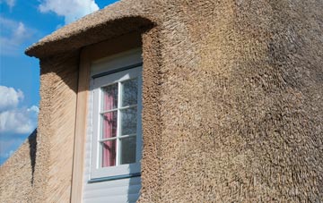 Withiel thatch roof disadvantages